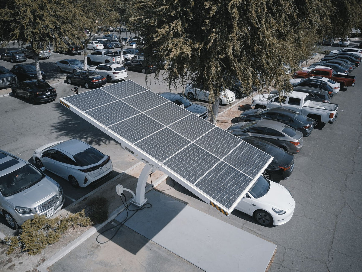 Longest Lasting Evs Study
